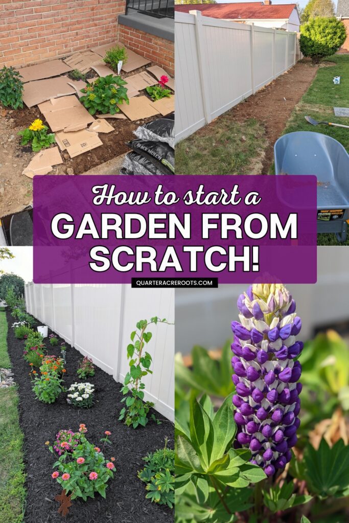collage of a garden that says how to start a garden from scratch