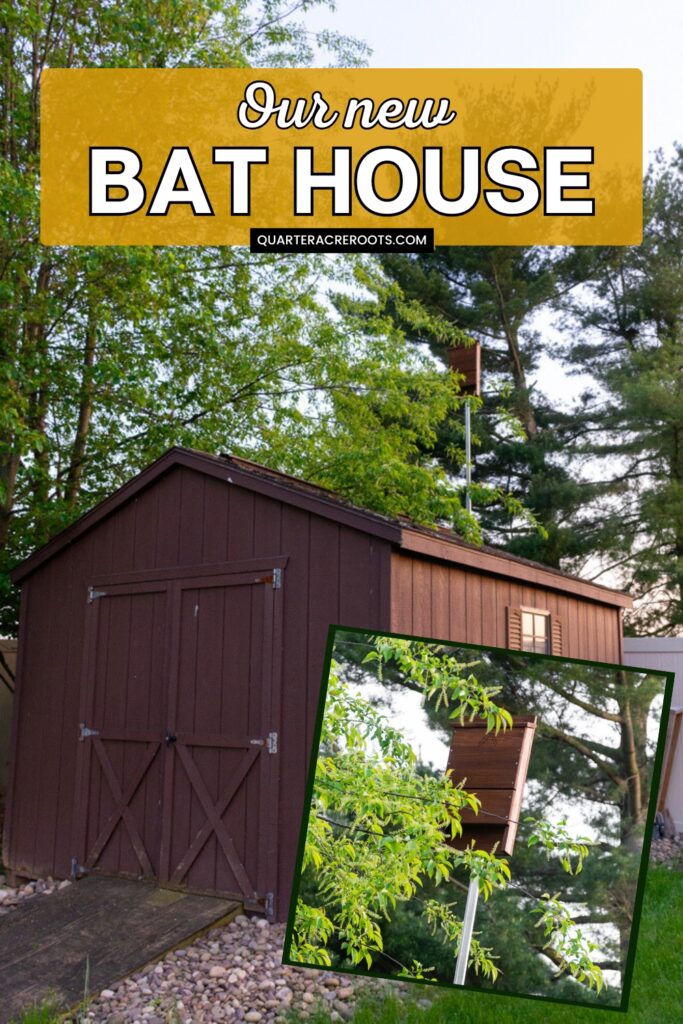 shed with a closeup shot of a bat house