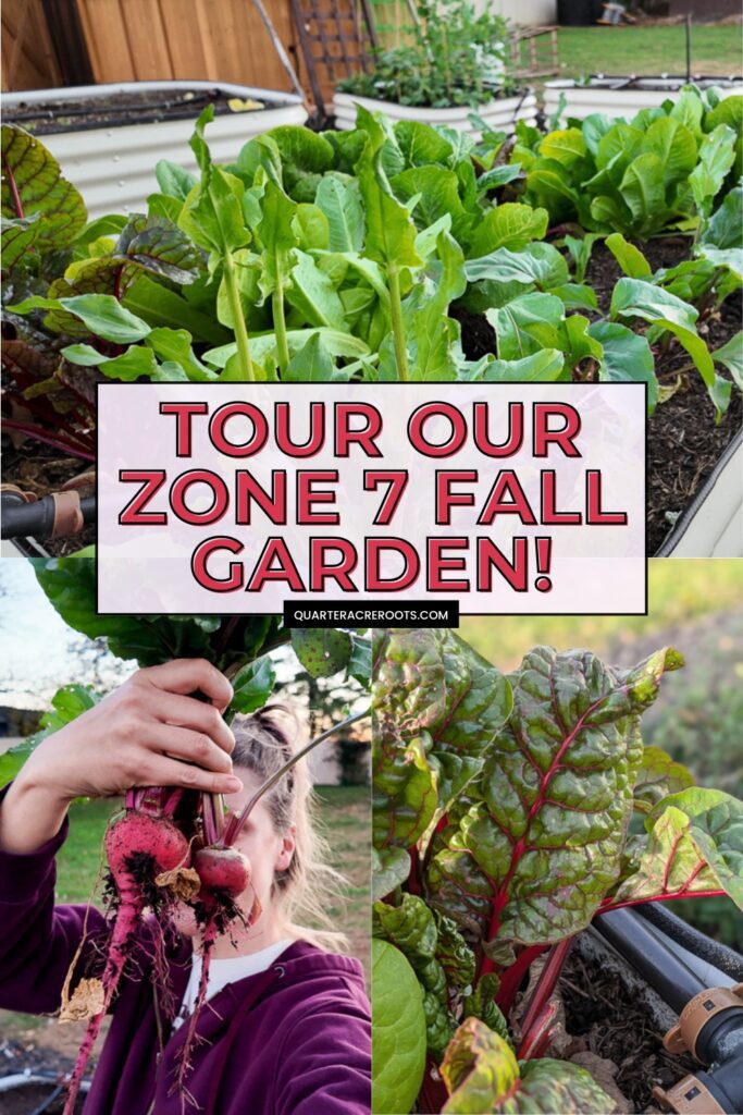 collage of plants that says tour our zone 7 fall garden