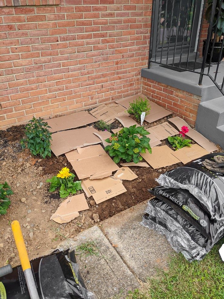 laying cardboard to sheet mulch