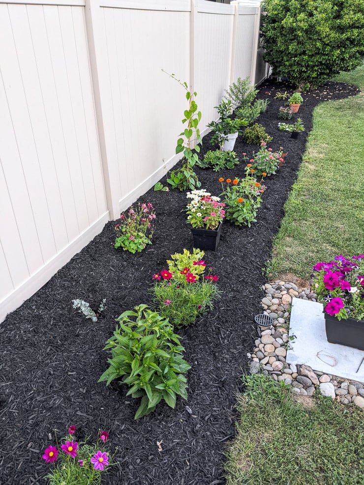 garden along a fence