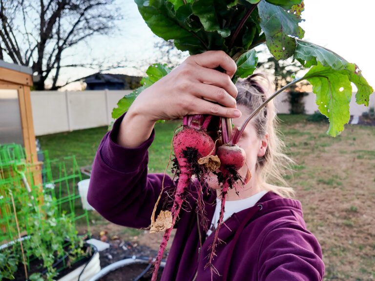 woman holding beets