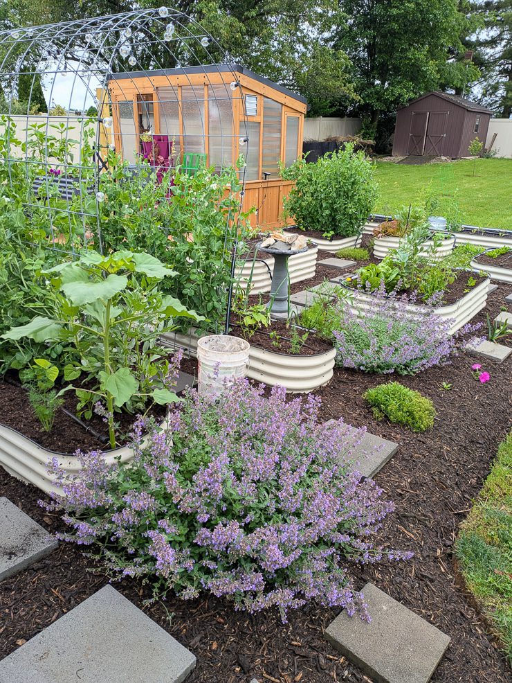 beautiful spring garden