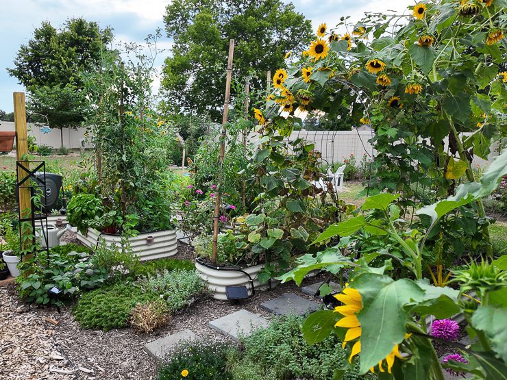 beautiful backyard garden
