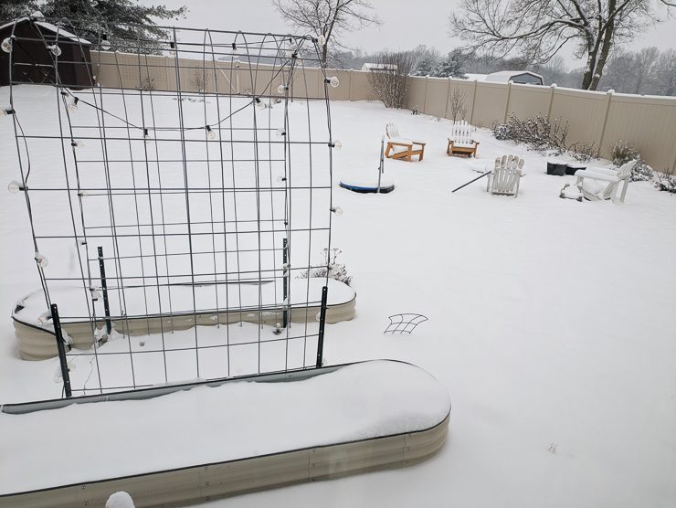 snowy backyard