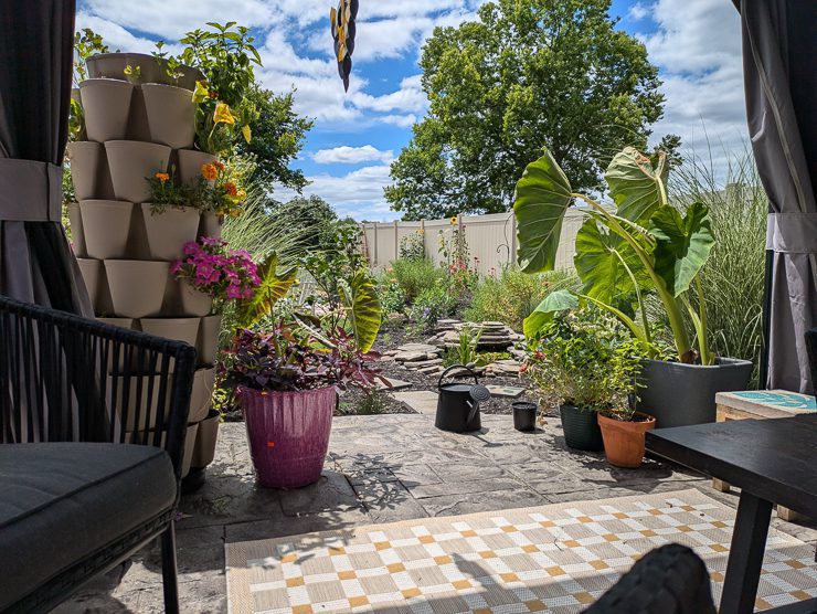 view of a yard from a patio