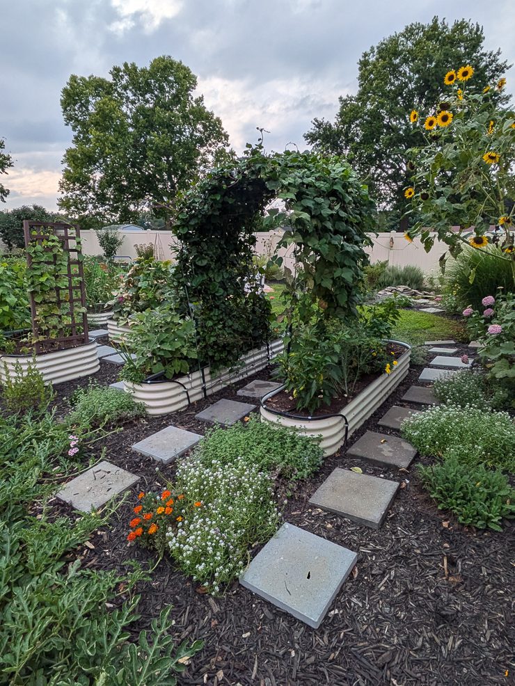raised vego beds with a large arch trellis