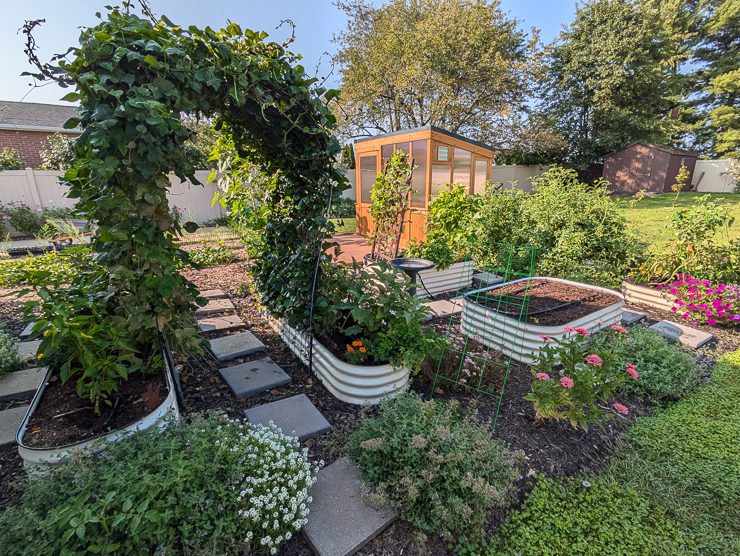 beautiful backyard garden