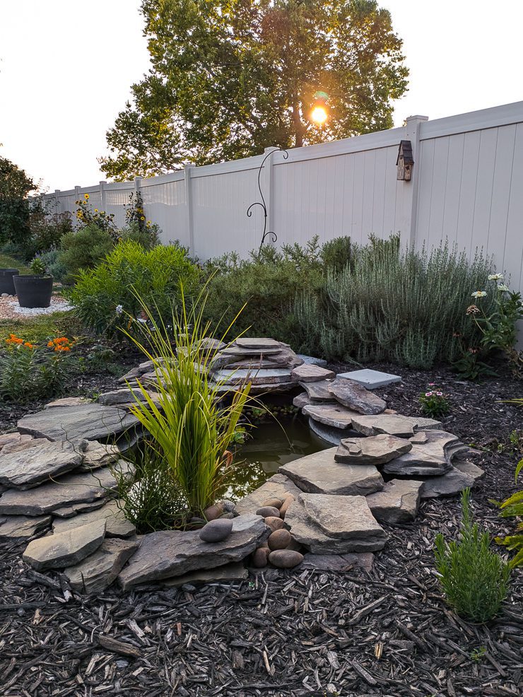 backyard pond