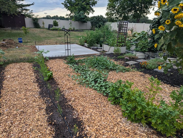 beautiful backyard garden