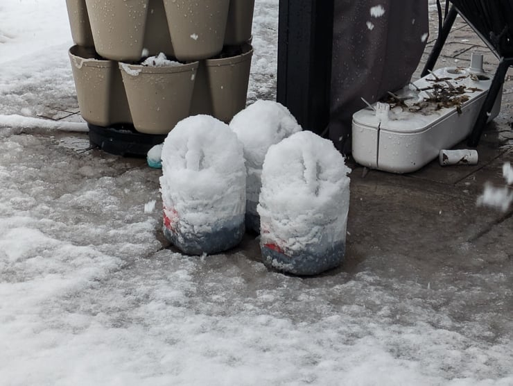 winter sowing jugs with snow on them