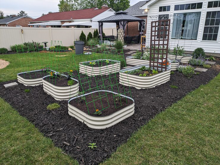 raised beds in a backyard