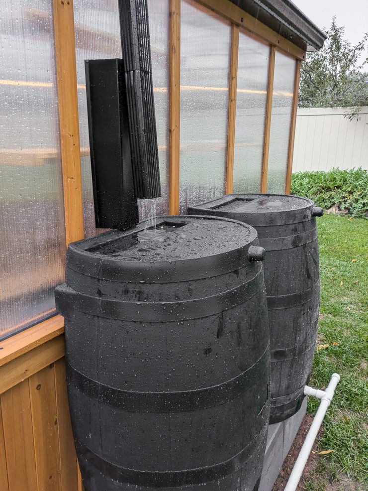 rain barrels on a greenhouse
