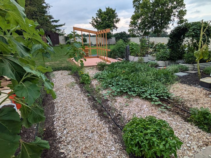 building a backyard discovery greenhouse