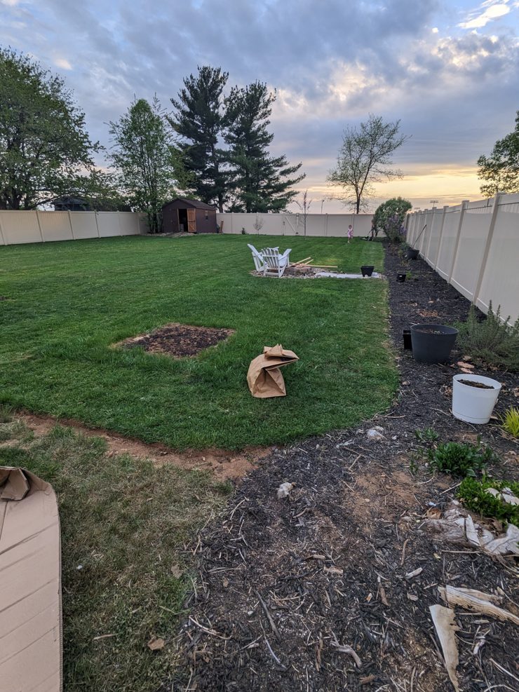 grass area before landscaping
