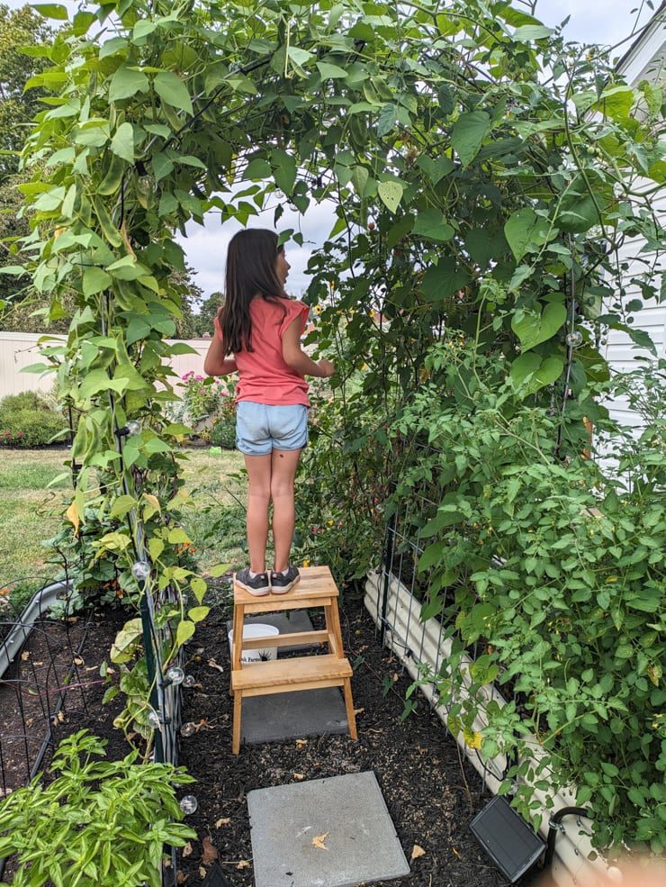 little girl in an arch trellis