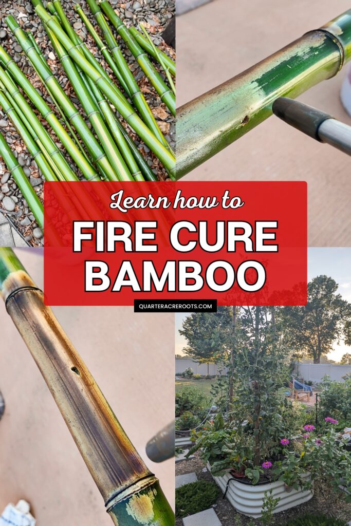collage that says how to fire cure bamboo with pictures of the process
