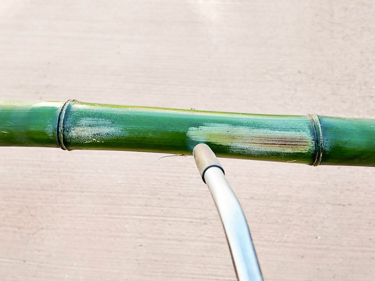 heating curing bamboo