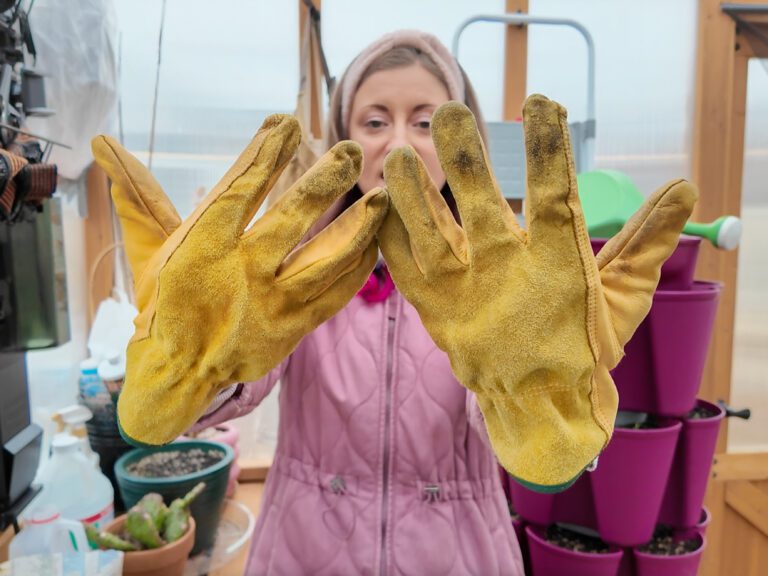 yellow gardening gloves
