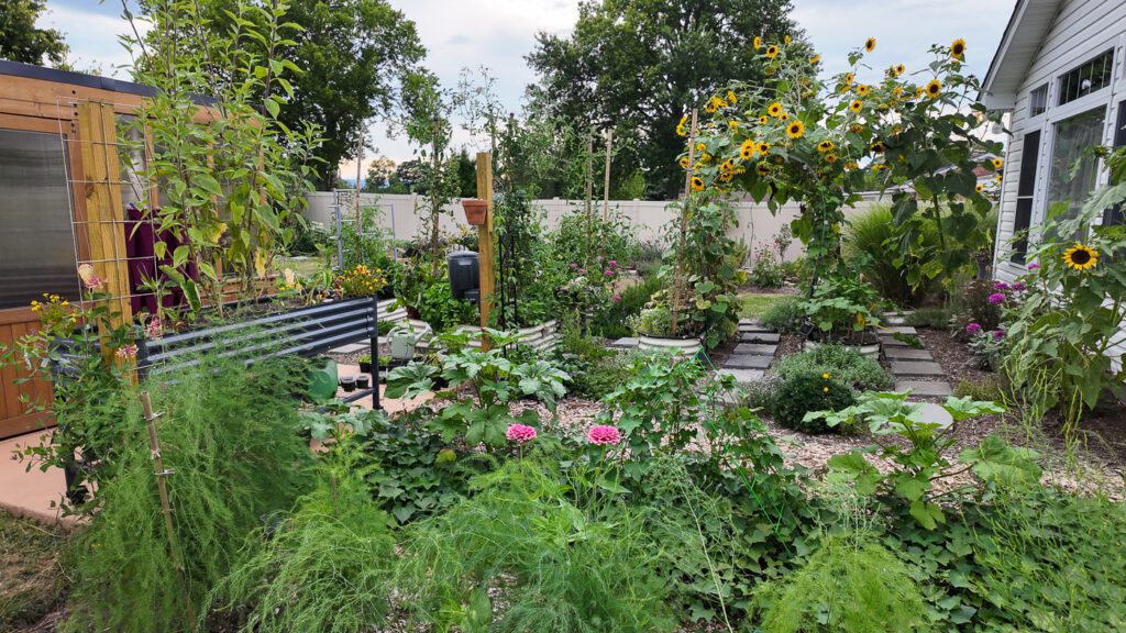 beautiful back garden