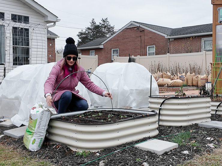 putting hoops on a raised bed