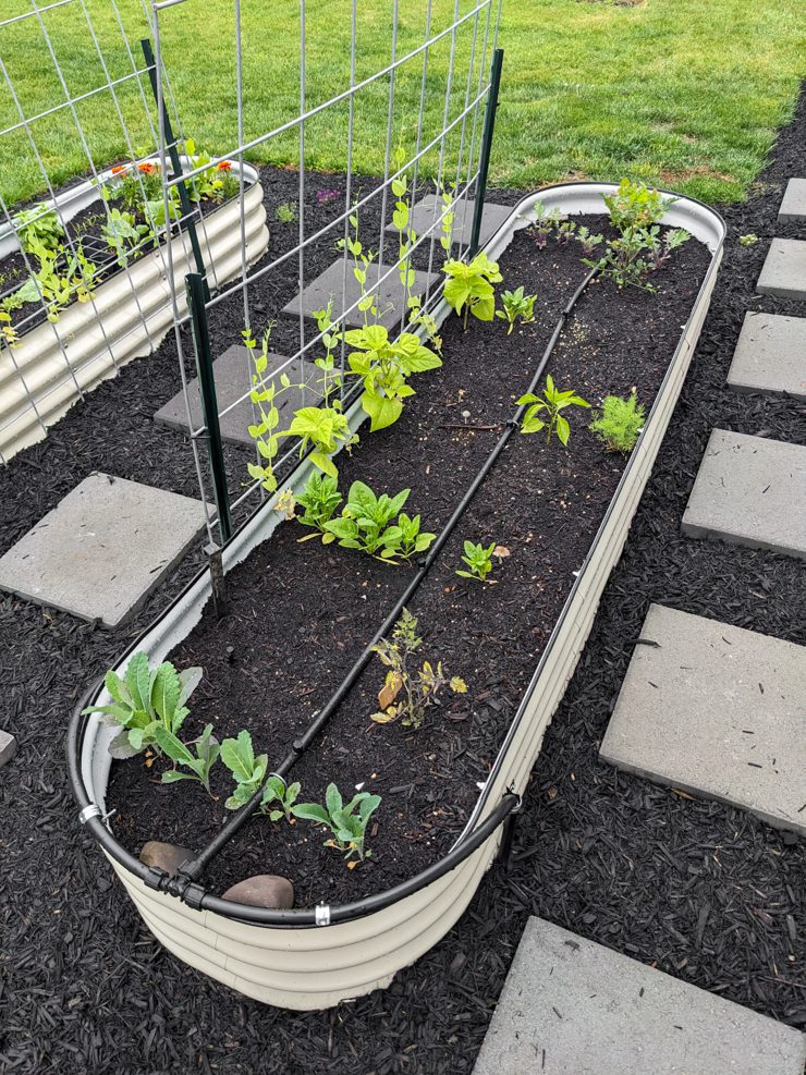 DIY solar-powered rain barrel irrigation system
