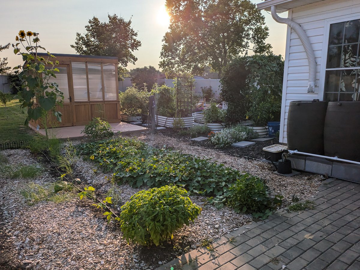 garden and backyard discovery greenhouse