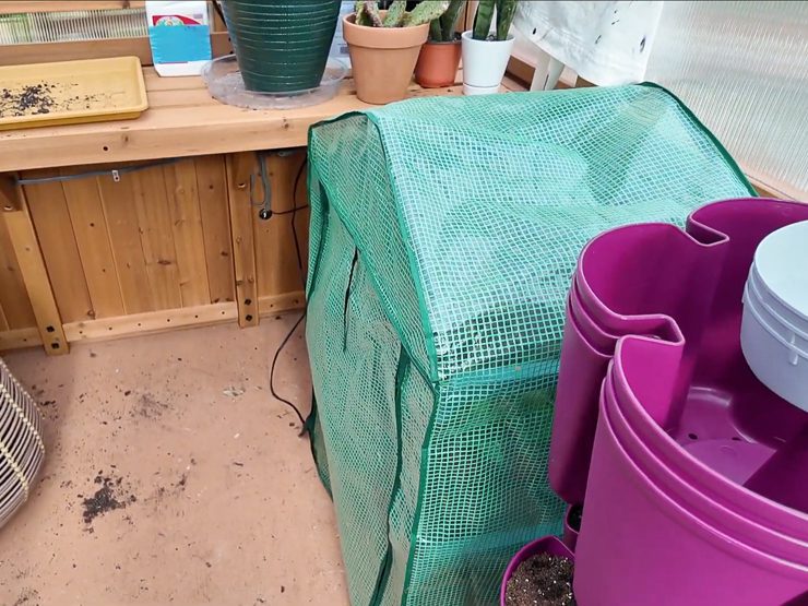 small greenhouse