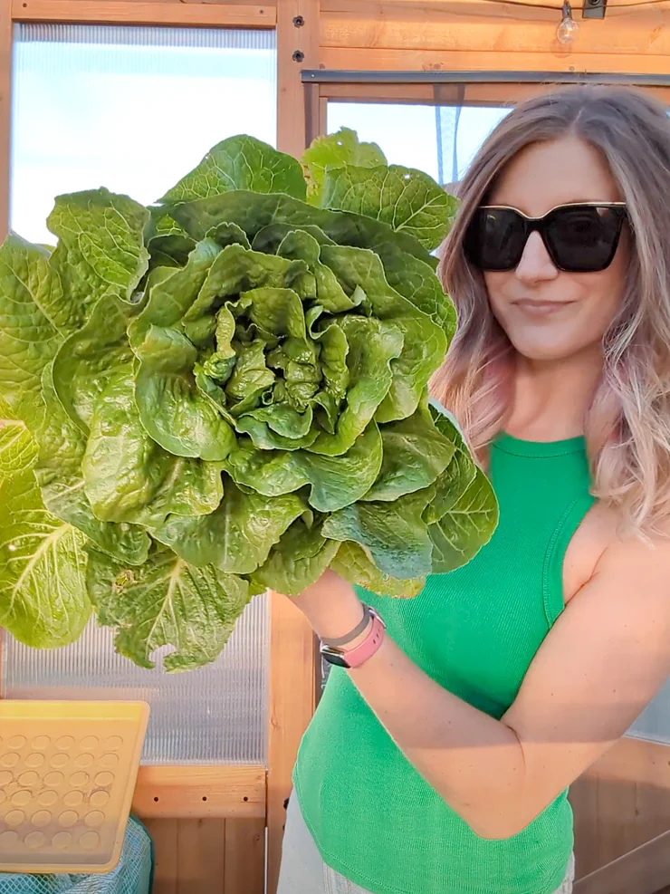 woman holding a large head of lettuce