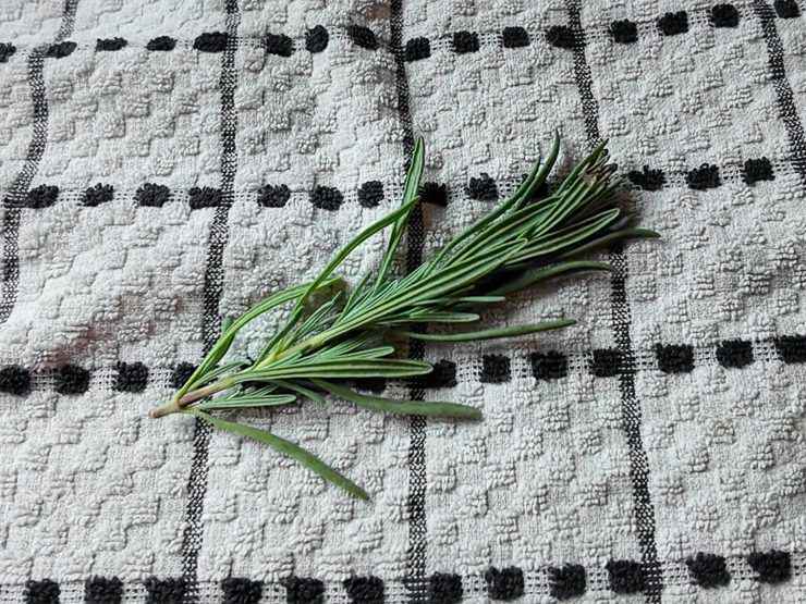 lavender laying out on a towel
