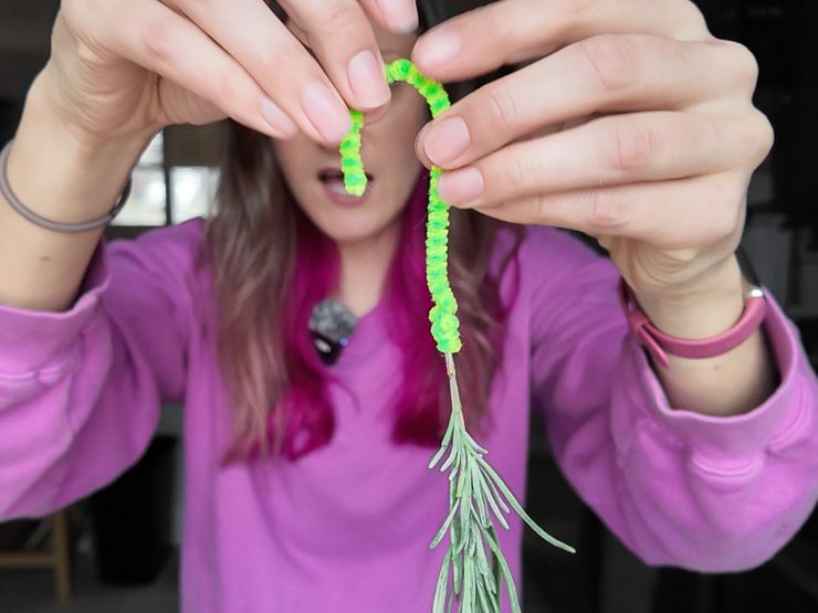 hanging lavender to dry