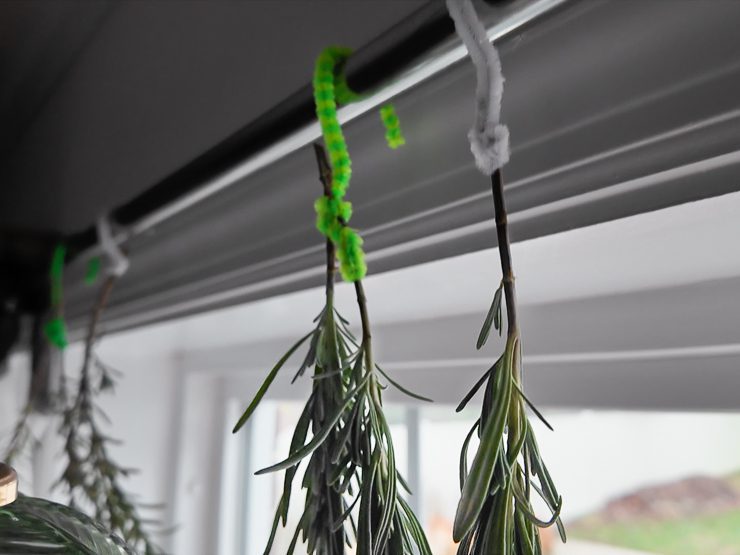 hanging lavender to dry