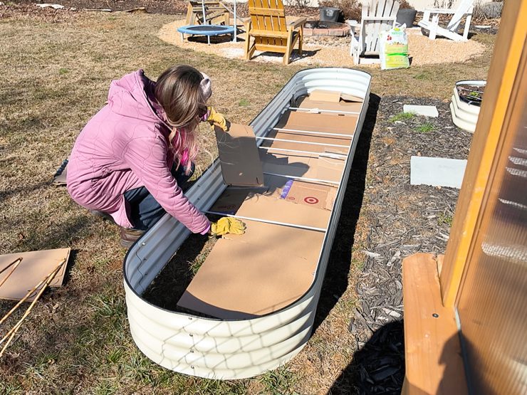 adding cardboard in a vego bed
