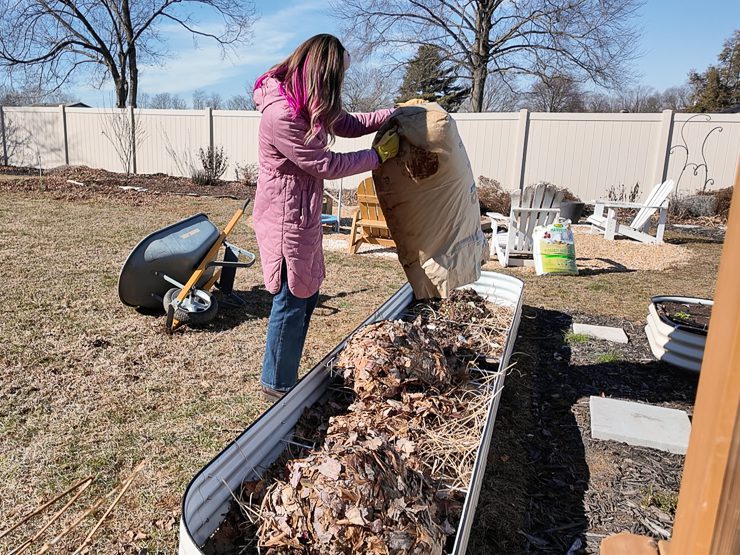 dumping leaves in a raised bed
