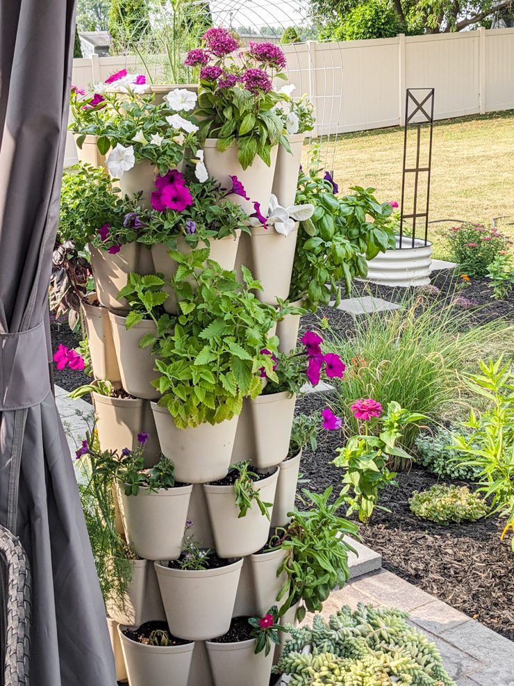 flowers and herbs growing in a greenstalk