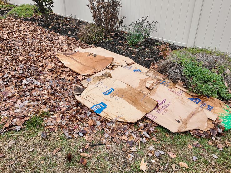 laying paper bags on the ground