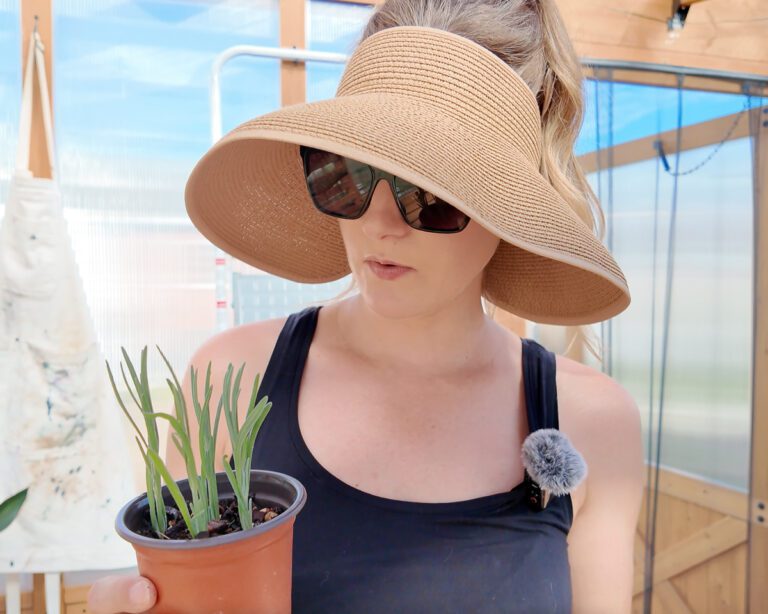 woman holding lavender plants