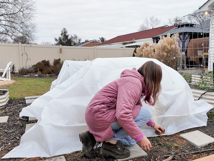 adding plastic sheeting to a hoop house