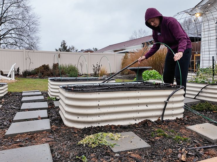 building a low tunnel