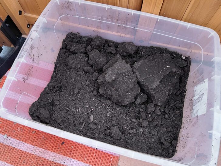soil in a large plastic tub