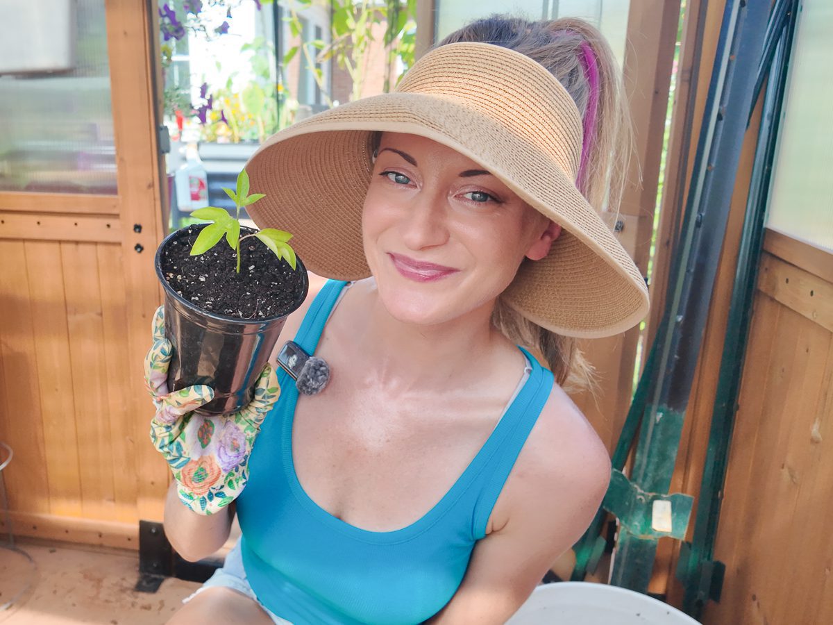 woman holding a maypop propagation