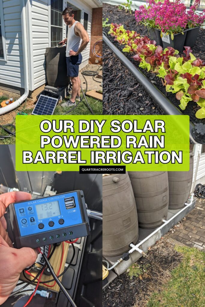collage that says our diy solar-powered irrigation system with pictures of the project