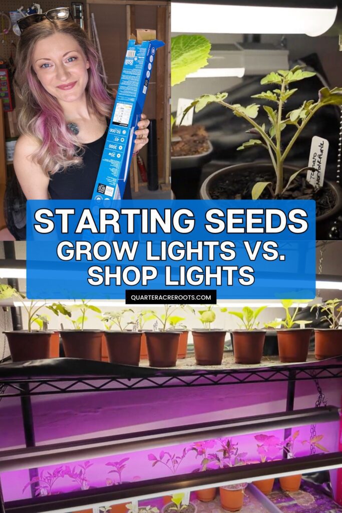 collage that says starting seeds, grow lights vs. shop lights with pictures of the setup