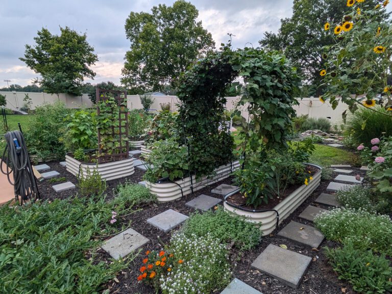 beautiful vegetable garden