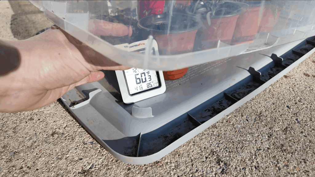 temperature gauge inside of a storage tub greenhouse