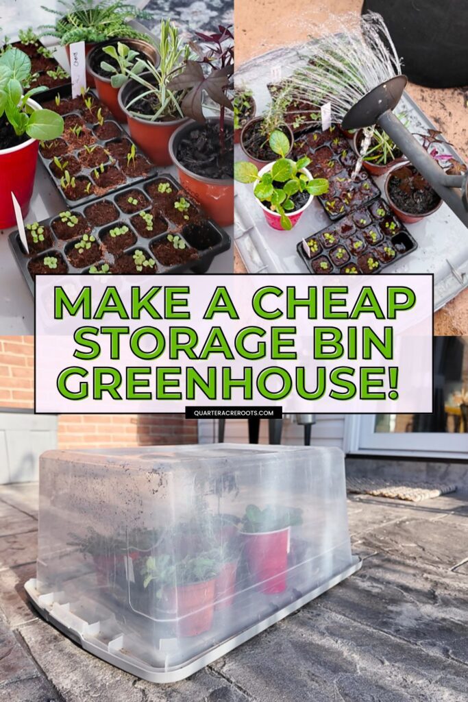 collage that says make a cheap storage bin greenhouse with pictures of the process