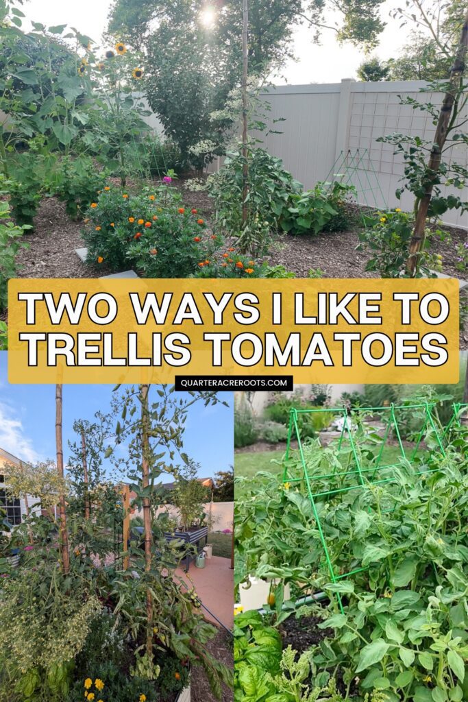 collage that says two ways I like to trellis tomatoes with pictures of a garden