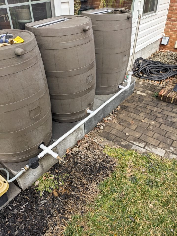 daisy chained rain barrels