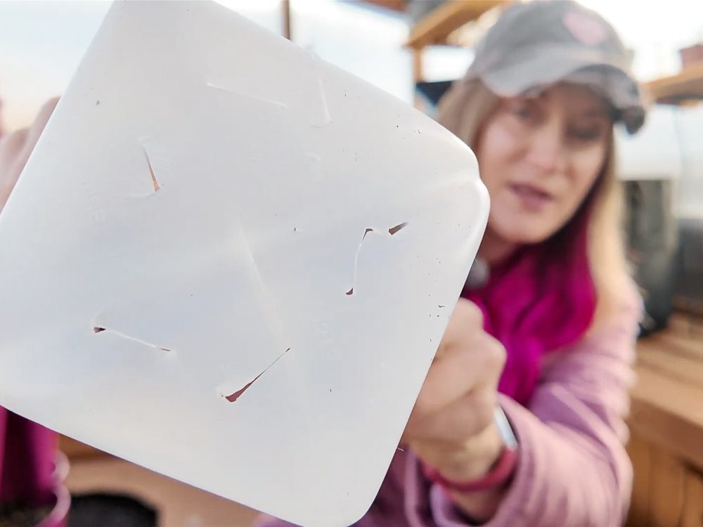 holes in the jug bottom