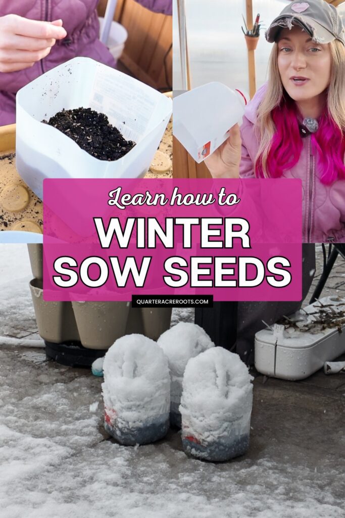 collage that says learn how to winter sow seeds with pictures of the process